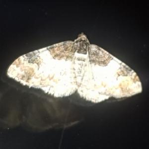 Click to view this image in a large viewer