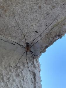 Click to view this image in a large viewer