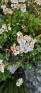 Click to view this image in a large viewer