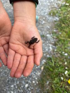 Click to view this image in a large viewer