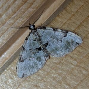 Click to view this image in a large viewer