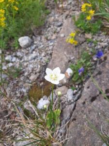 Click to view this image in a large viewer