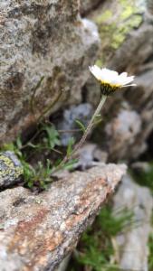 Click to view this image in a large viewer