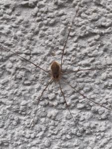 Click to view this image in a large viewer