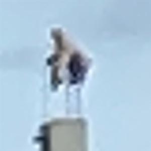 Click to view this image in a large viewer