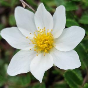 Click to view this image in a large viewer