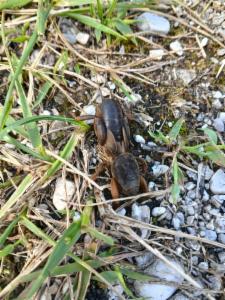 Click to view this image in a large viewer