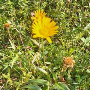 Click to view this image in a large viewer