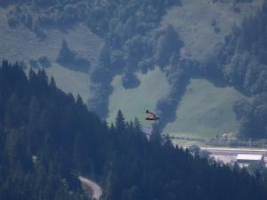 Click to view this image in a large viewer