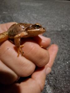 Click to view this image in a large viewer