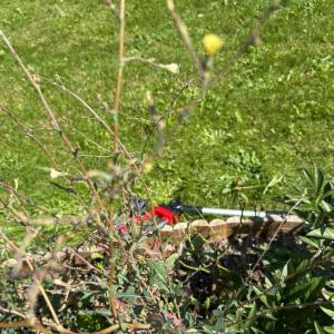 Click to view this image in a large viewer