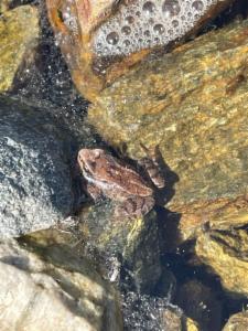 Click to view this image in a large viewer