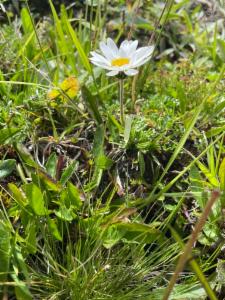 Click to view this image in a large viewer