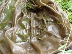 Click to view this image in a large viewer