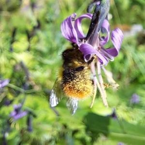 Click to view this image in a large viewer