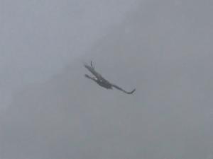 Click to view this image in a large viewer