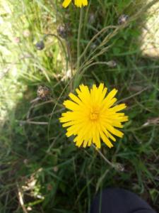 Click to view this image in a large viewer