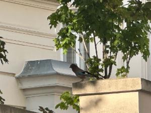 Click to view this image in a large viewer