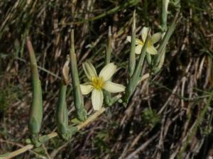 Click to view this image in a large viewer