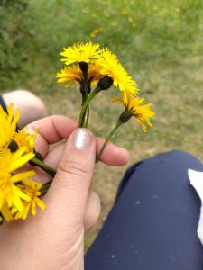 Click to view this image in a large viewer