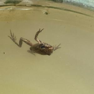 Click to view this image in a large viewer