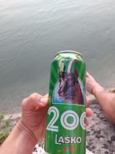 Click to view this image in a large viewer