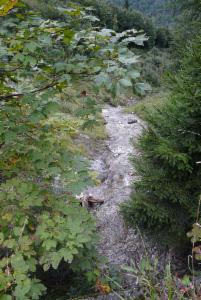 Click to view this image in a large viewer