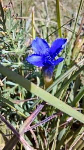 Click to view this image in a large viewer