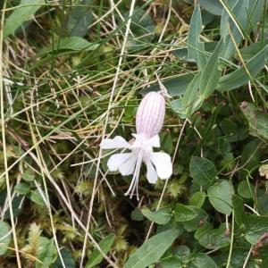 Click to view this image in a large viewer