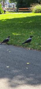 Click to view this image in a large viewer