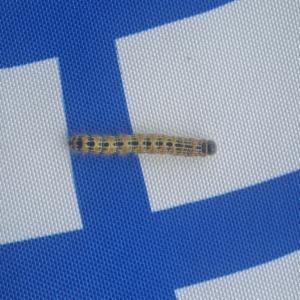 Click to view this image in a large viewer