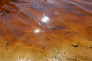 Click to view this image in a large viewer