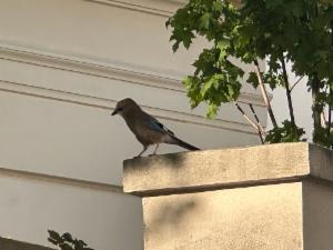 Click to view this image in a large viewer