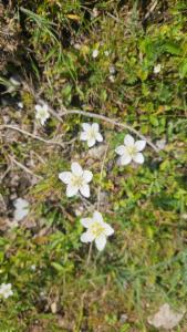 Click to view this image in a large viewer